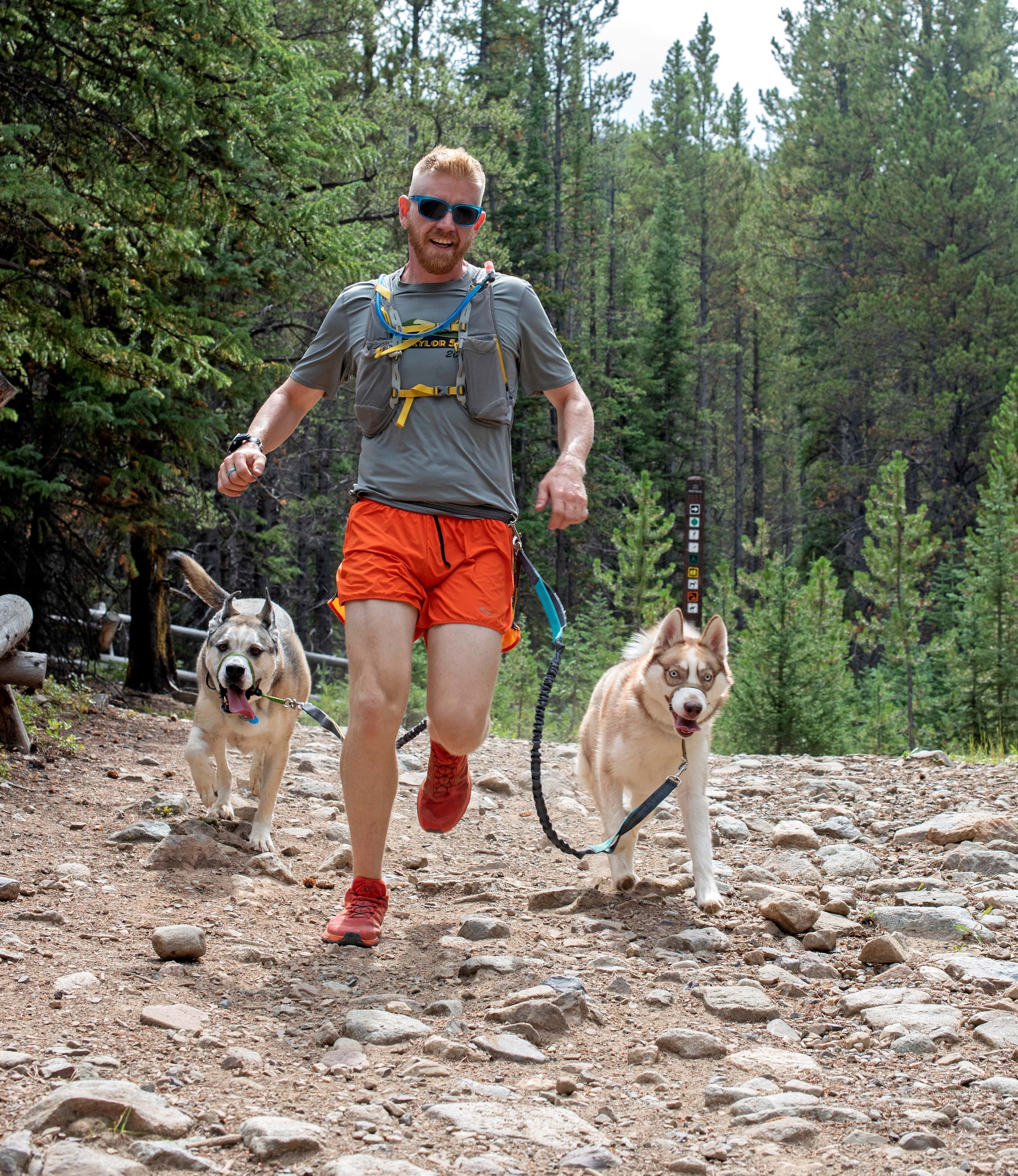 Running with the pups, in breckenridge CO